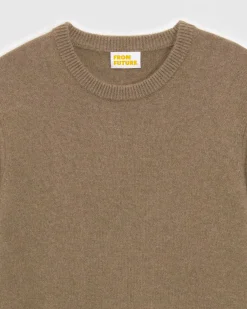 Online FROM FUTURE Pull Basique Col Rond Taupe