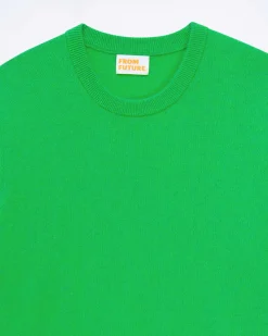Online FROM FUTURE Pull Col Rond Magic Green
