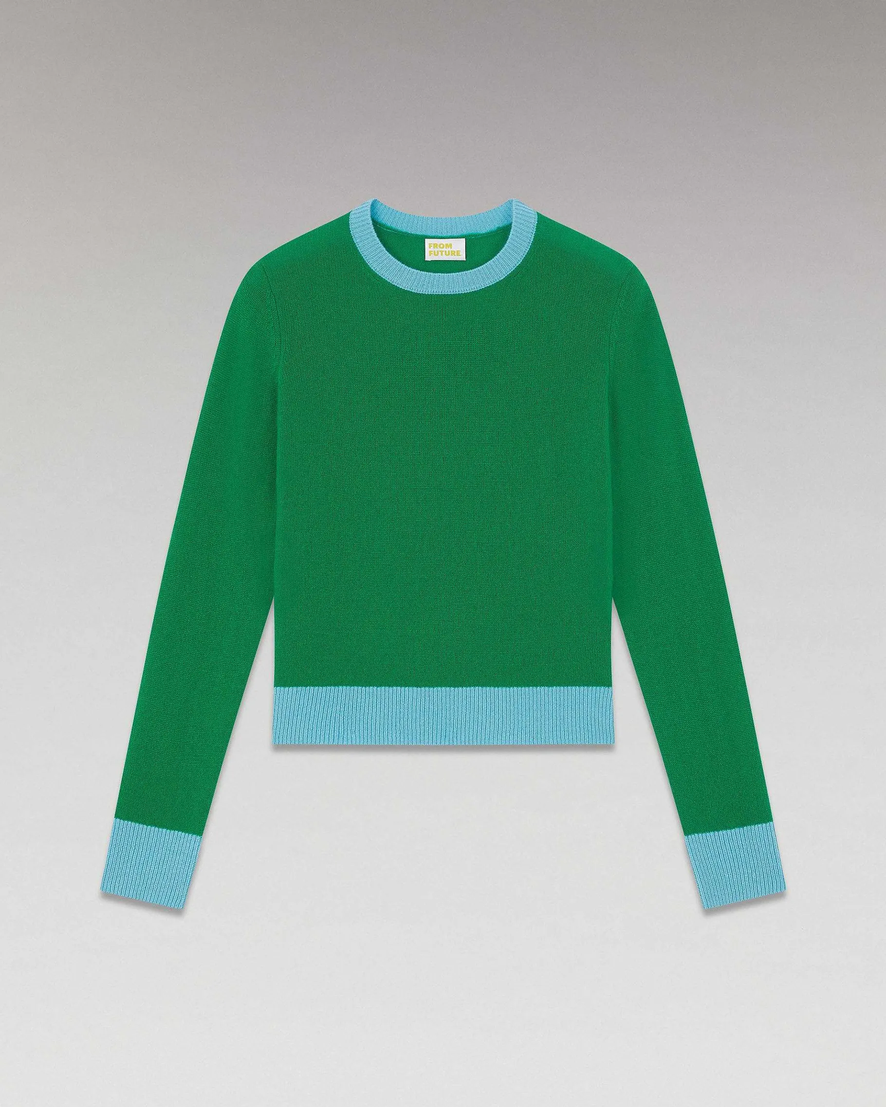Discount FROM FUTURE Pull Col Rond Bicolore Leger Winter Green