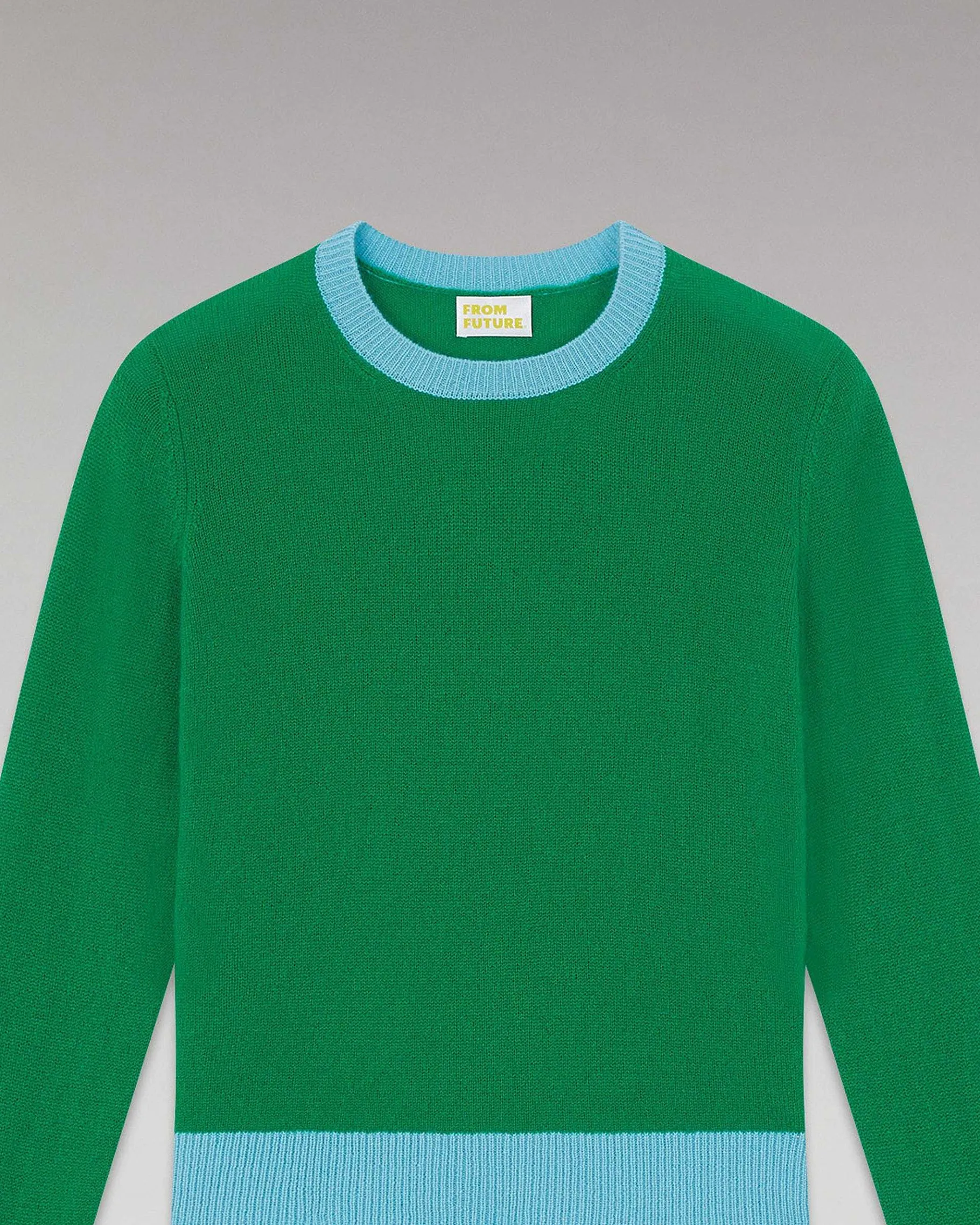 Discount FROM FUTURE Pull Col Rond Bicolore Leger Winter Green