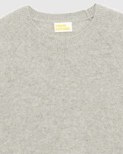 Outlet FROM FUTURE Pull Col Rond Leger