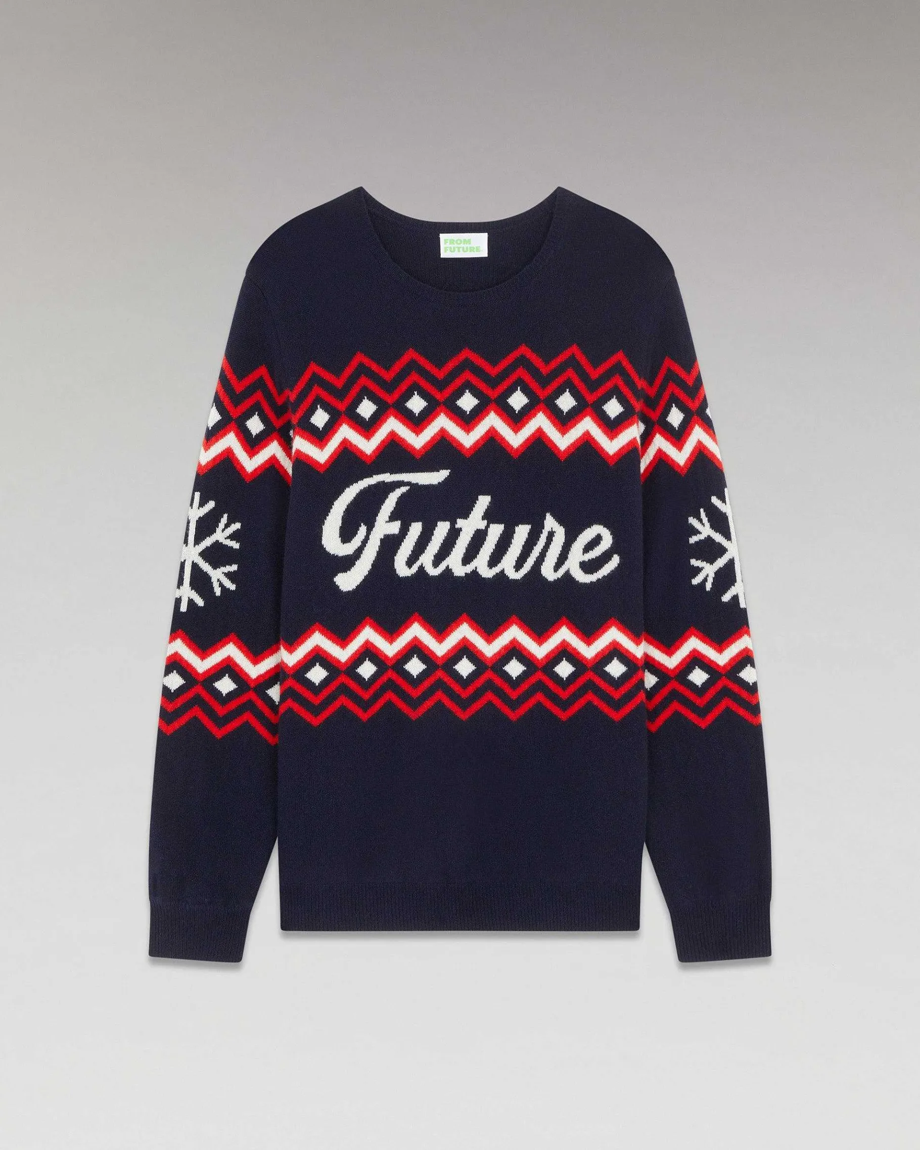 Best FROM FUTURE Pull Col Rond Norvegien Future Navy