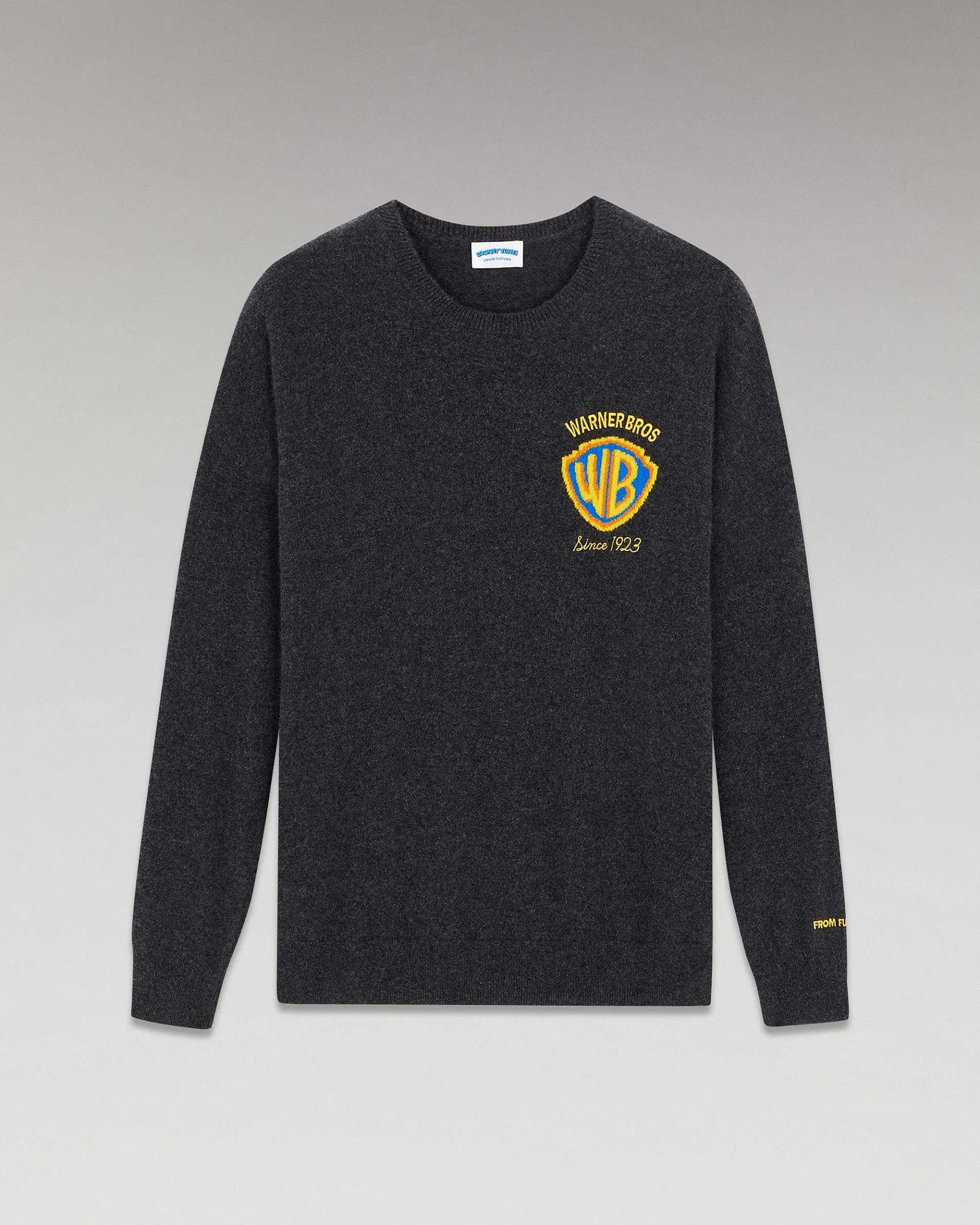 Online FROM FUTURE Pull Col Rond Warner Anthracite