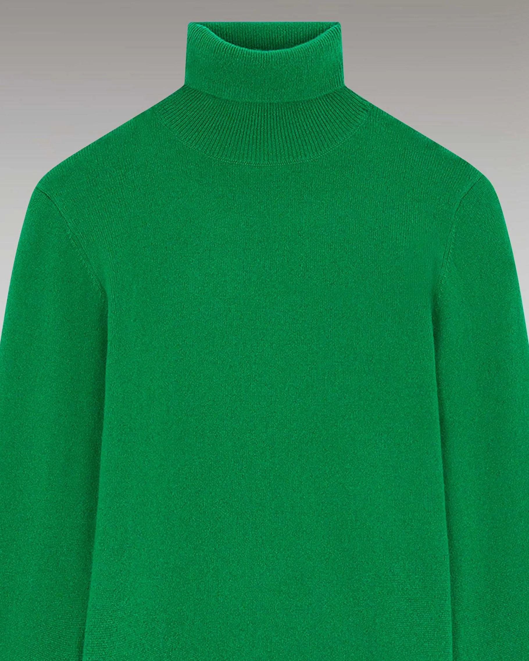 Sale FROM FUTURE Pull Col Roule Basique Winter Green